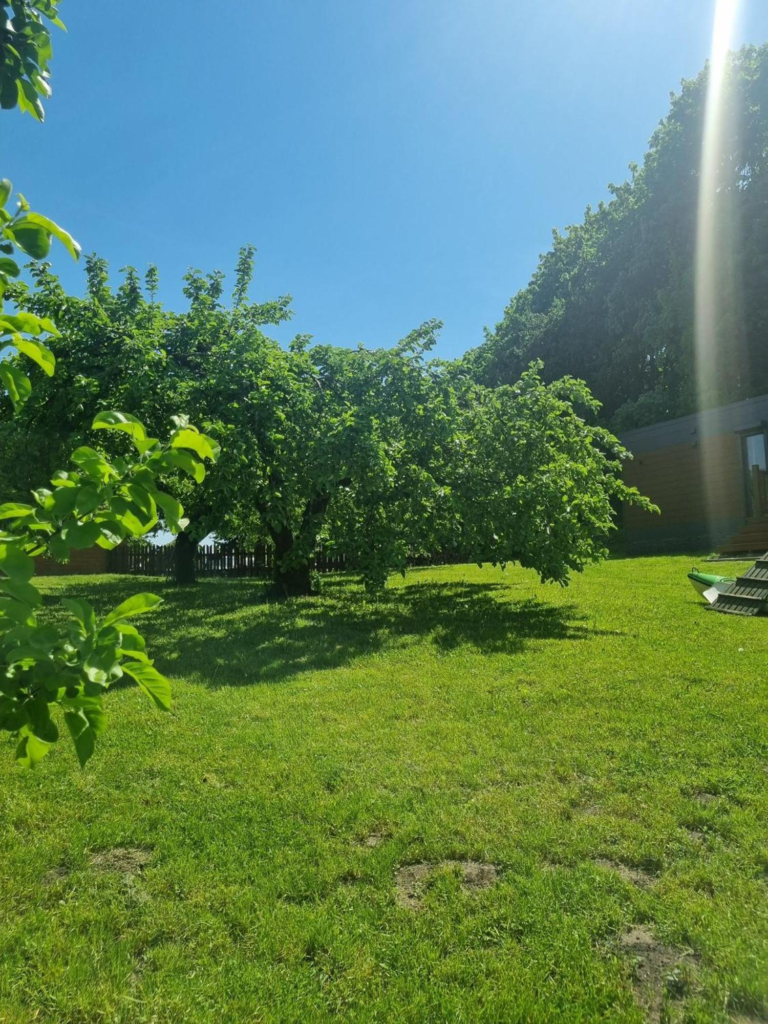 Gardenia Rajgrod Villa Exteriör bild